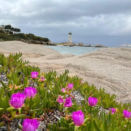 Il Bouganville A 150m Dalla Con Vista Sulla Splendida Baia Di Porto Raphael Palau