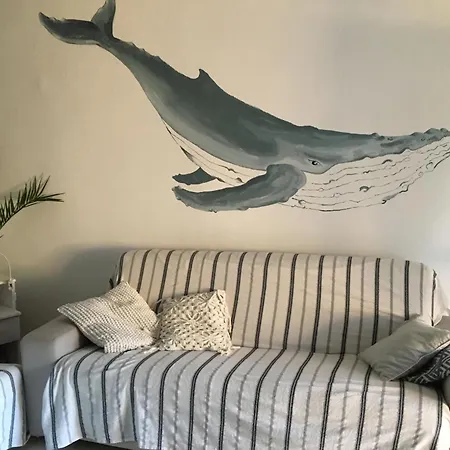 Il Bouganville A 150m Dalla Con Vista Sulla Splendida Baia Di Porto Raphael *