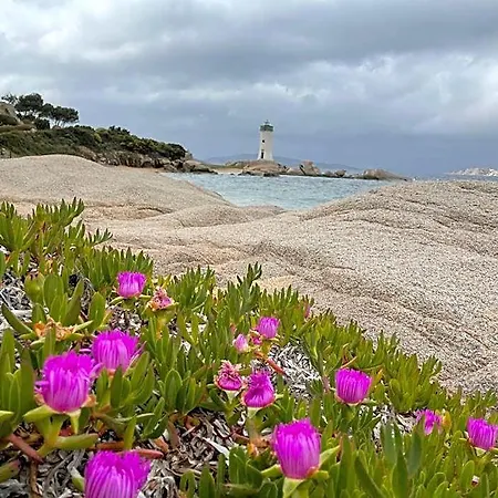 Il Bouganville A 150m Dalla Con Vista Sulla Splendida Baia Di Porto Raphael Nyaraló